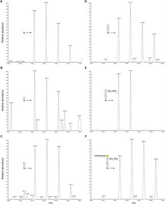 Sialic <mark class="highlighted">Acid</mark>-Like Sugars in Archaea: Legionaminic <mark class="highlighted">Acid</mark> Biosynthesis in the Halophile Halorubrum sp. PV6